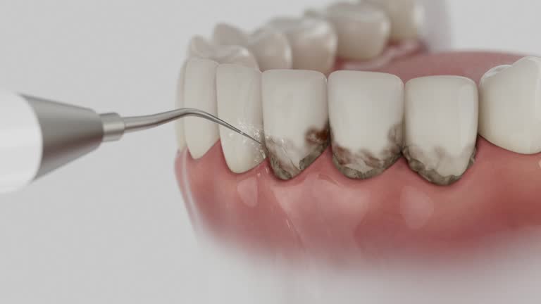 Reliable Dental contractor in Roanoke Rapids, NC by Dentist Open Now